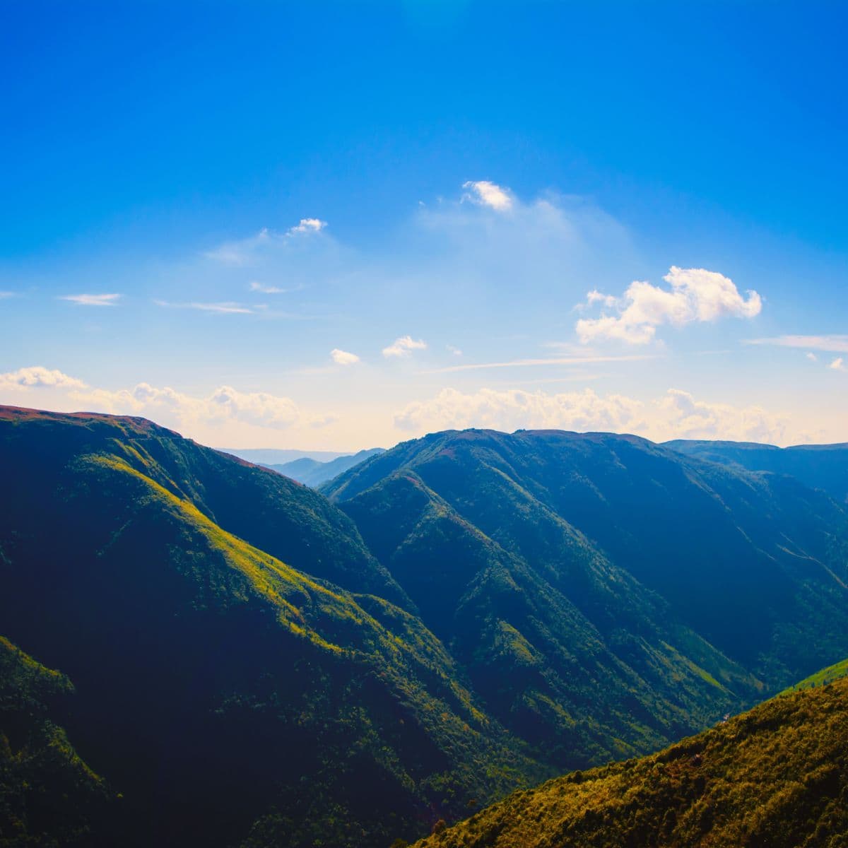 Your Journey in the Hills Begins